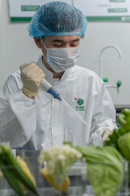 福建彩食鲜获评2022年全国供应链创新与示范企业 打造供应链标杆，赋能餐饮配送服务