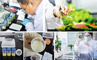 佛山餐饮企业的自有种植养殖基地 构筑食品卫生安全新防线